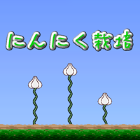 にんにく栽培